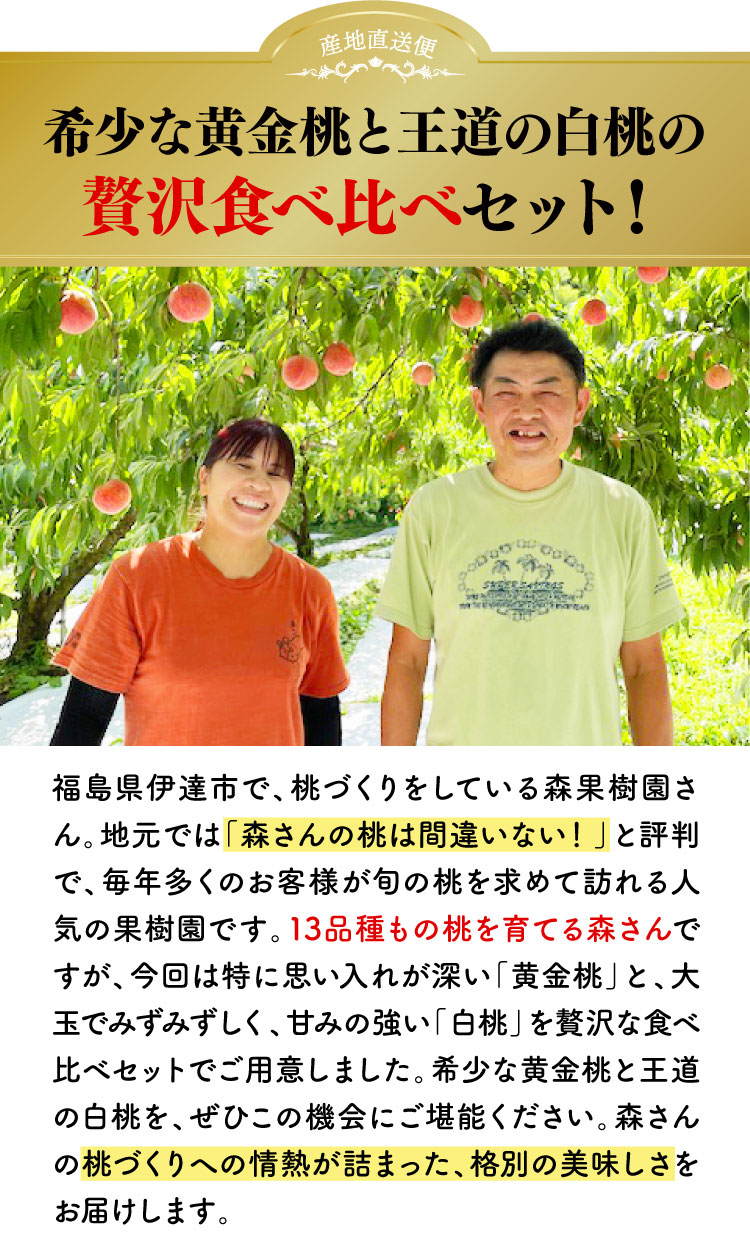 【産地直送】森果樹園さんの食べ比べ 黄金桃＆白桃セット（福島県産）