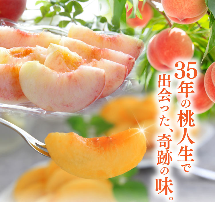 【産地直送】森果樹園さんの食べ比べ 黄金桃＆白桃セット（福島県産）