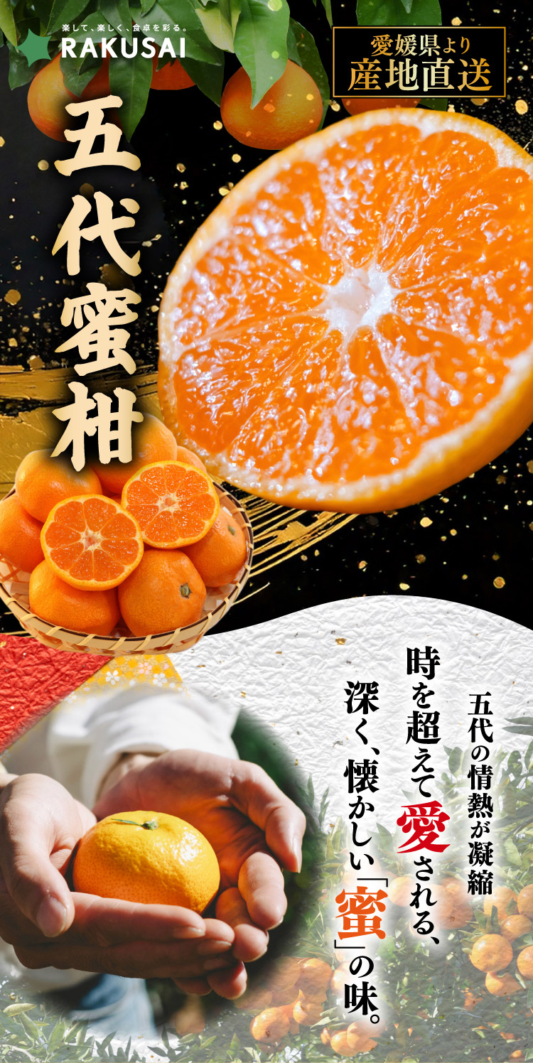 【産地直送】新口農園さんが育てた五代蜜柑（愛媛県産）