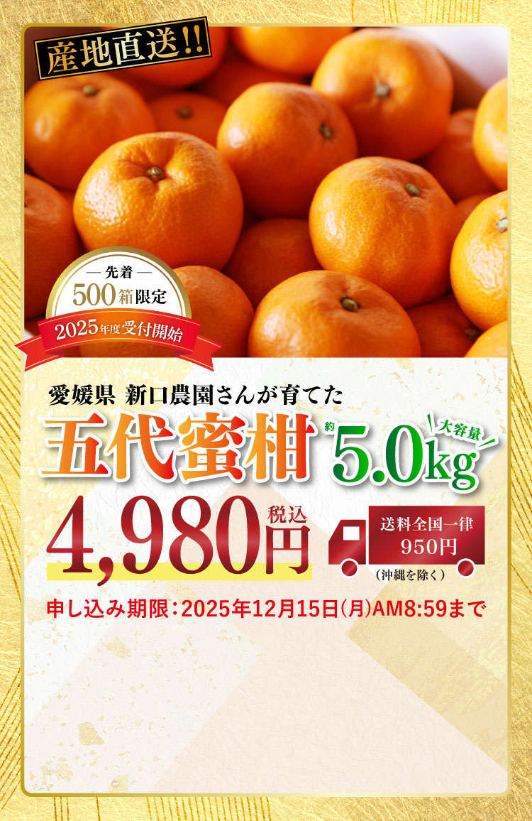 【産地直送】新口農園さんが育てた五代蜜柑（愛媛県産）