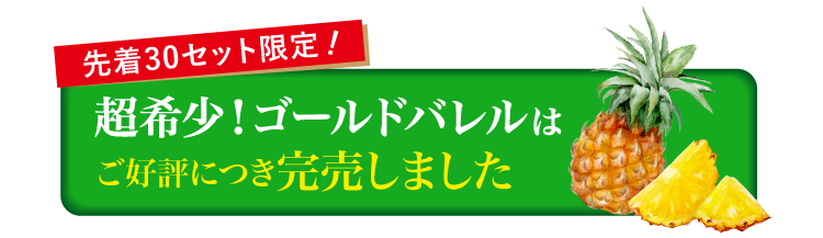 【バイヤー厳選】超希少品種パイン！ゴールドバレル（沖縄県産）