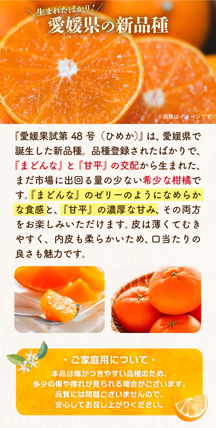 【産地直送】新口農園さんの『ひめか（ご家庭用）』（愛媛県産）