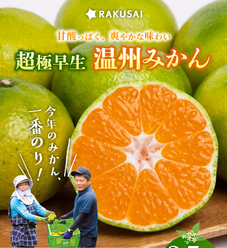 【産地直送】岡農園さんの『一番のりみかん』（三重県産）