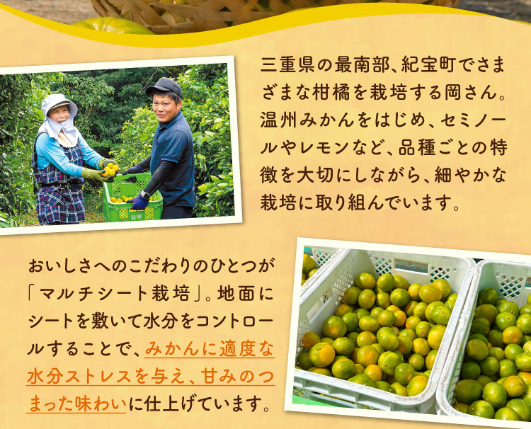 【産地直送】岡農園さんの『一番のりみかん』（三重県産）