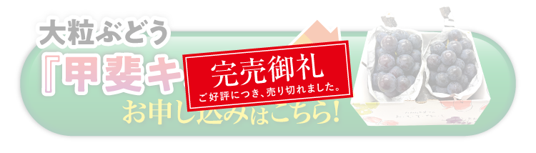 【バイヤー厳選】大粒ぶどう『甲斐キング』（山梨県産）