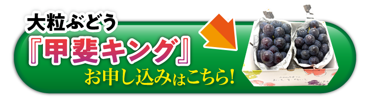 【バイヤー厳選】大粒ぶどう『甲斐キング』（山梨県産）
