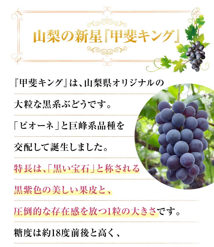 【バイヤー厳選】大粒ぶどう『甲斐キング』（山梨県産）