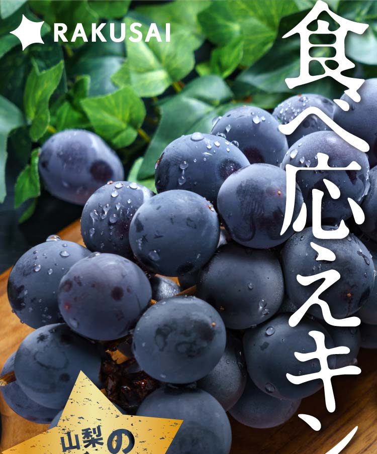 【バイヤー厳選】大粒ぶどう『甲斐キング』（山梨県産）
