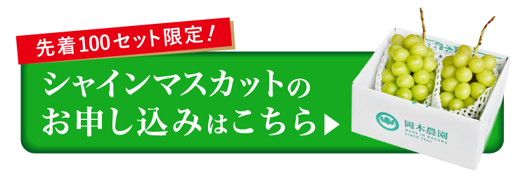 【産地直送】採れたて！岡木農園さんの木熟シャインマスカット（長野県産）