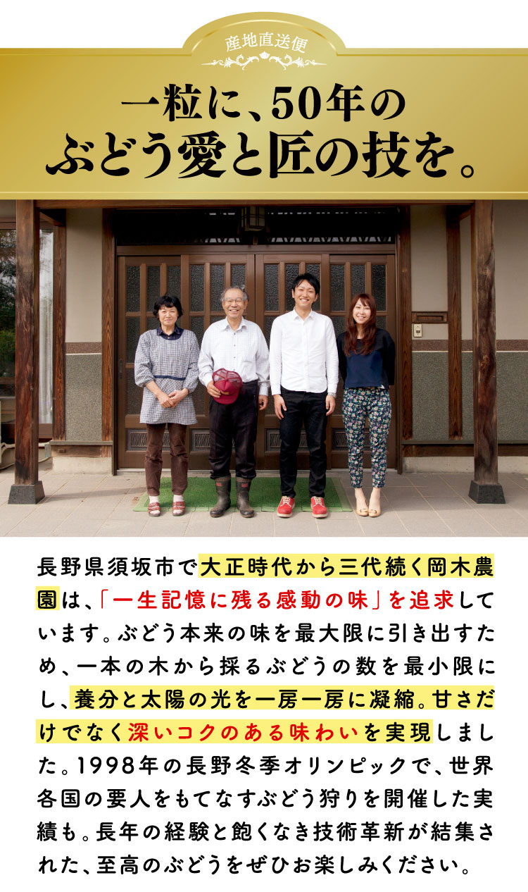 【産地直送】採れたて！岡木農園さんの木熟シャインマスカット（長野県産）