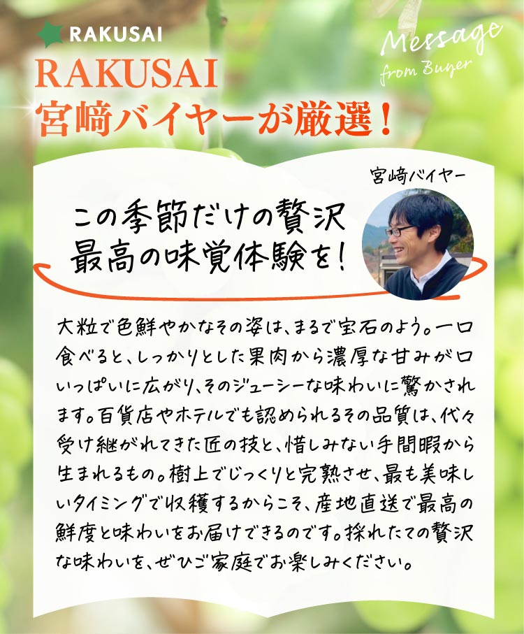 【産地直送】採れたて！岡木農園さんの木熟シャインマスカット（長野県産）
