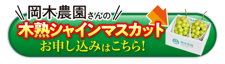 【産地直送】岡木農園さんの『木熟シャインマスカット』（長野県産）