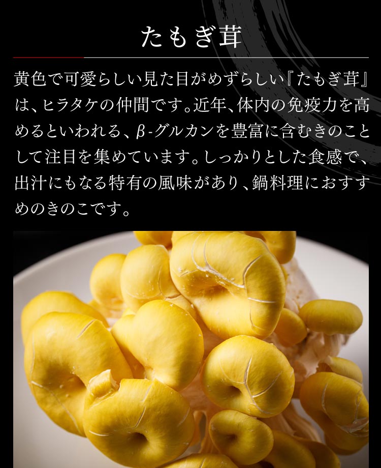 【熊谷喜八シェフ監修】厳選野菜と黒豚2種の薬膳風きのこ鍋