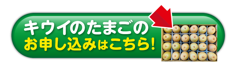 【産地直送】キウイバードさんが作ったキウイのたまご（愛媛県産）