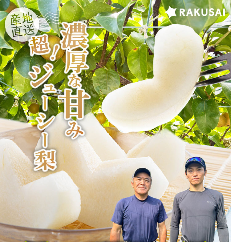 【産地直送】ファーム・オクムラさんの幸水梨（石川県産）