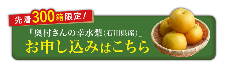【産地直送】自然栽培にこだわった 奥村さんの『幸水梨』（石川県産）