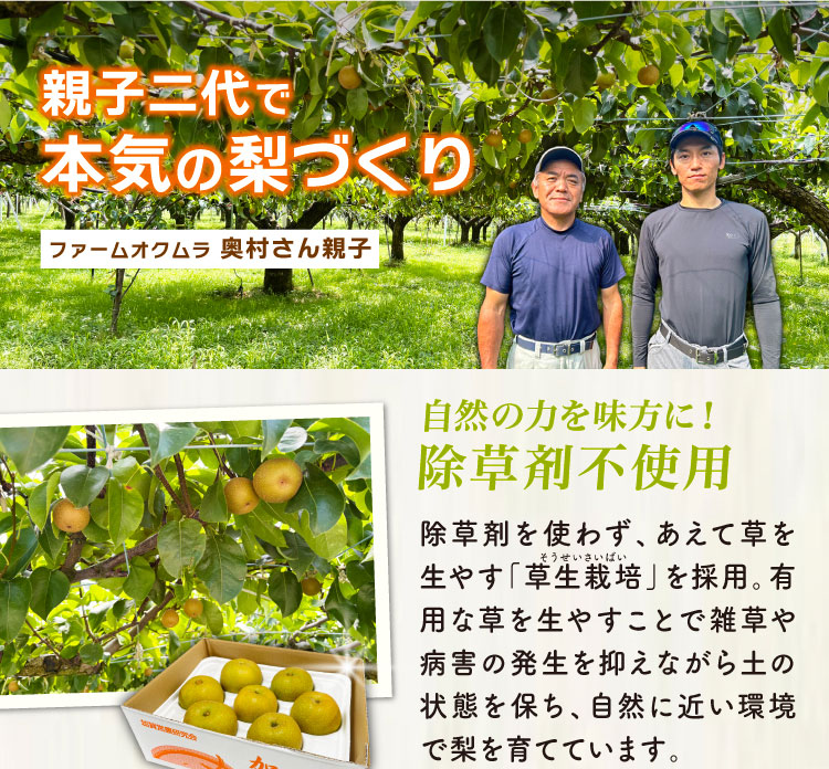 【産地直送】自然栽培にこだわった 奥村さんの『幸水梨』（石川県産）