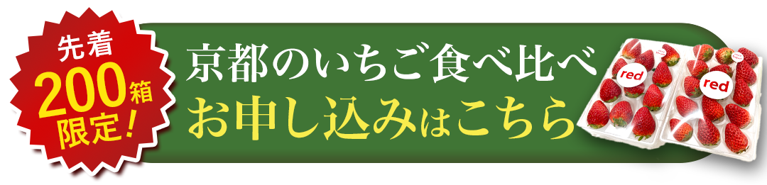 【産地直送】redさんのいちご『紅ほっぺ・スターナイト』（京都府産）