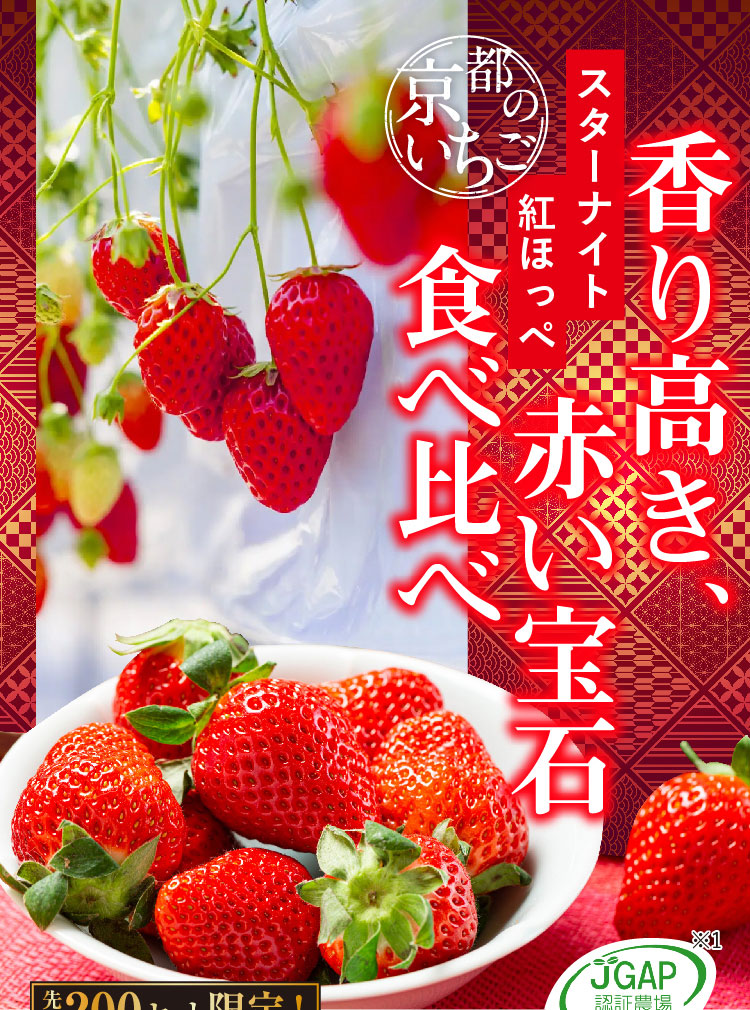 【産地直送】redさんのいちご『紅ほっぺ・スターナイト』（京都府産）