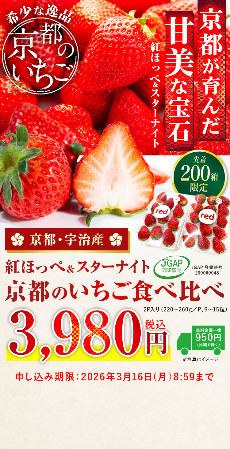 【産地直送】redさんのいちご『紅ほっぺ・スターナイト』（京都府産）