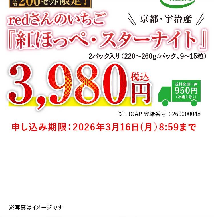 【産地直送】redさんのいちご『紅ほっぺ・スターナイト』（京都府産）