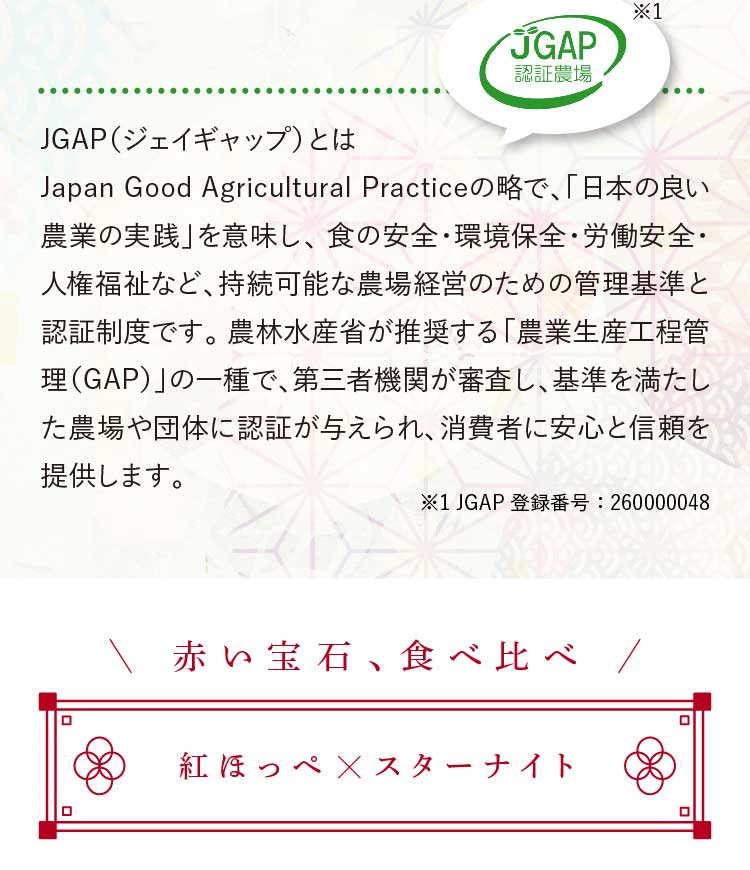 【産地直送】redさんのいちご『紅ほっぺ・スターナイト』（京都府産）