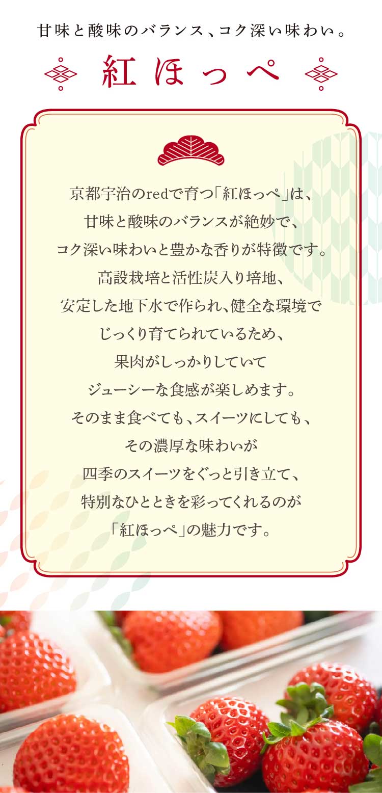 【産地直送】redさんのいちご『紅ほっぺ・スターナイト』（京都府産）