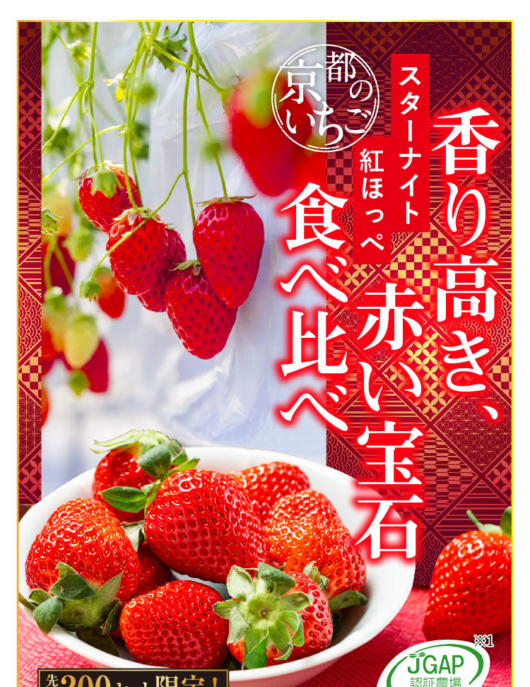 【産地直送】redさんのいちご『紅ほっぺ・スターナイト』（京都府産）