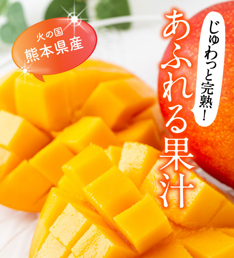【早割】お買い得！完熟マンゴー（熊本県産）