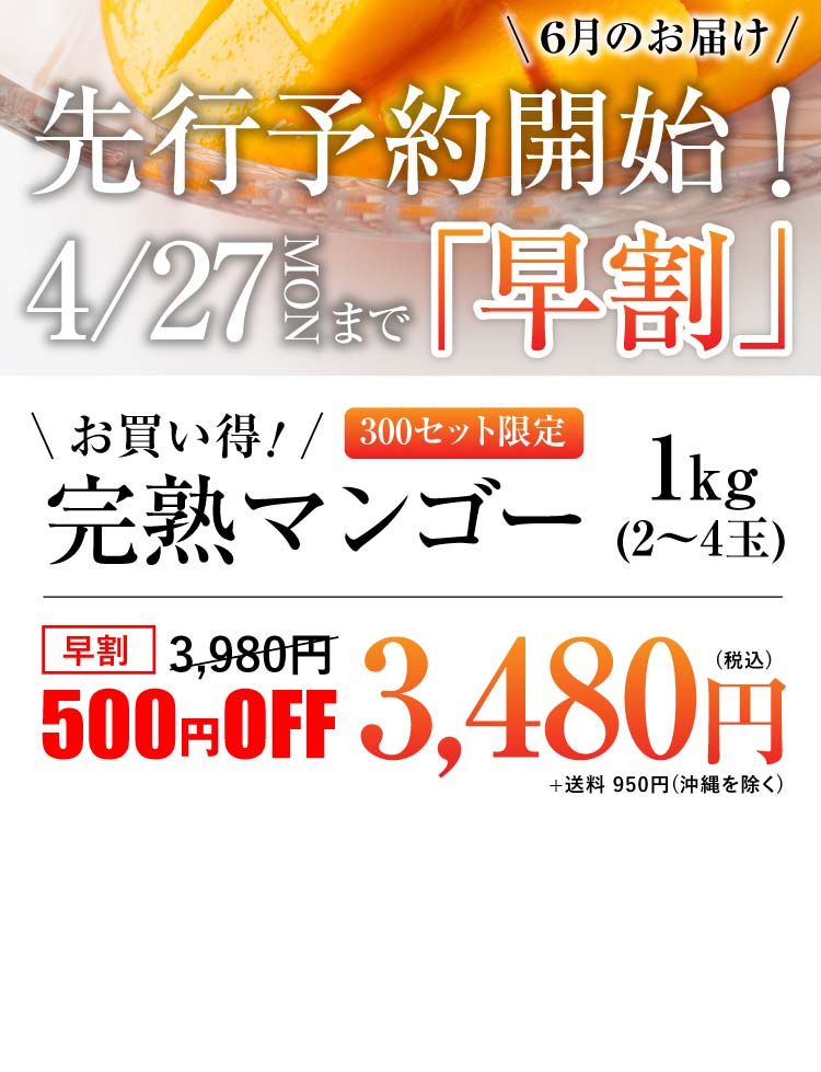【早割】お買い得！完熟マンゴー（熊本県産）
