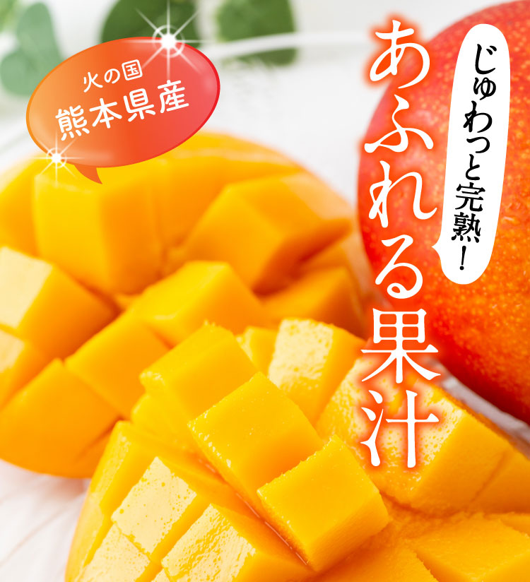 【早割】お買い得！完熟マンゴー（熊本県産）