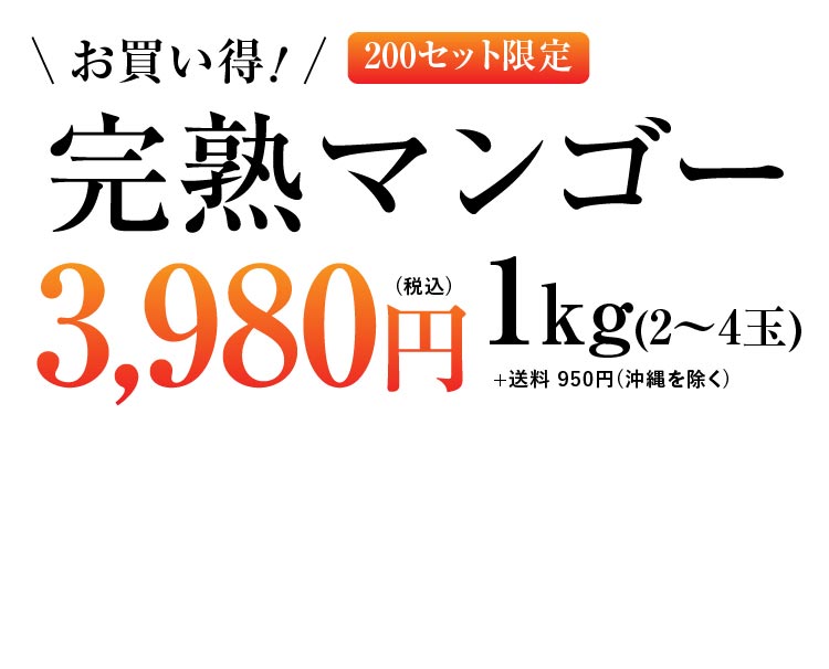 【バイヤー厳選】お買い得！完熟マンゴー（熊本県産）