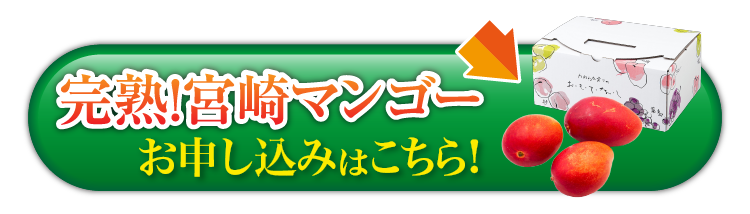 【バイヤー厳選】完熟！宮崎マンゴー（宮崎県産）