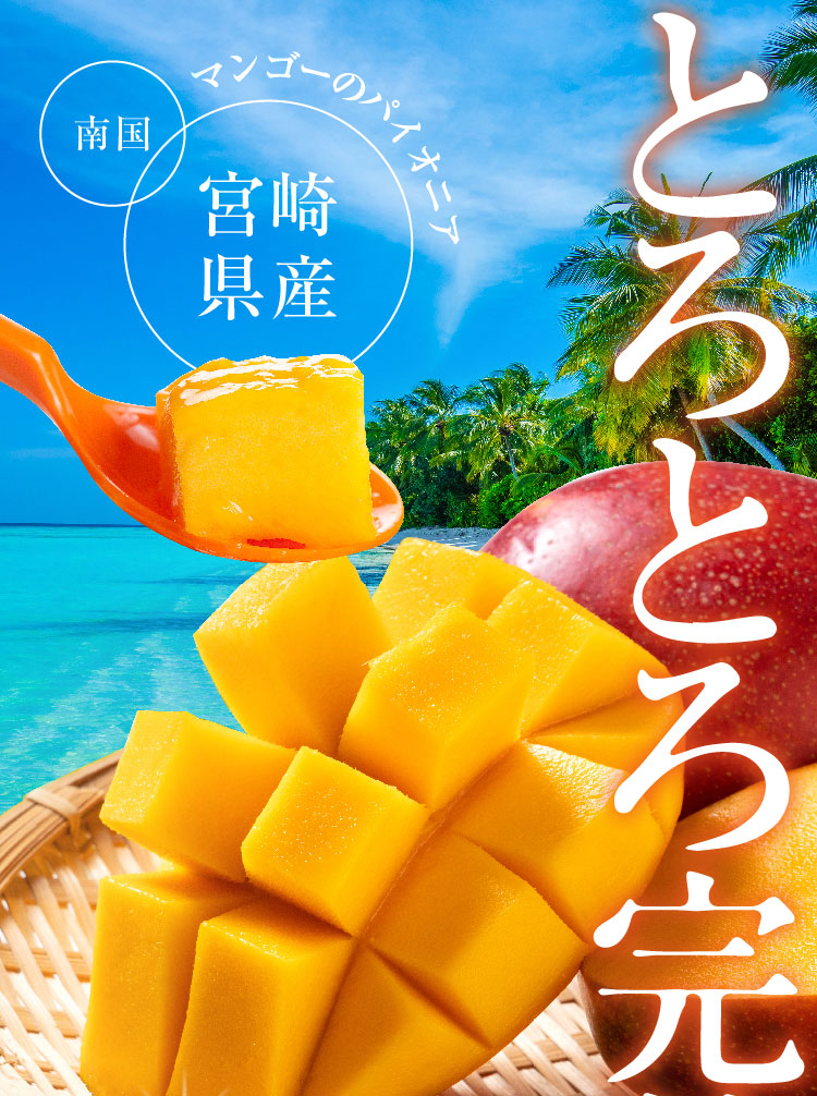 【バイヤー厳選】完熟！宮崎マンゴー（宮崎県産）