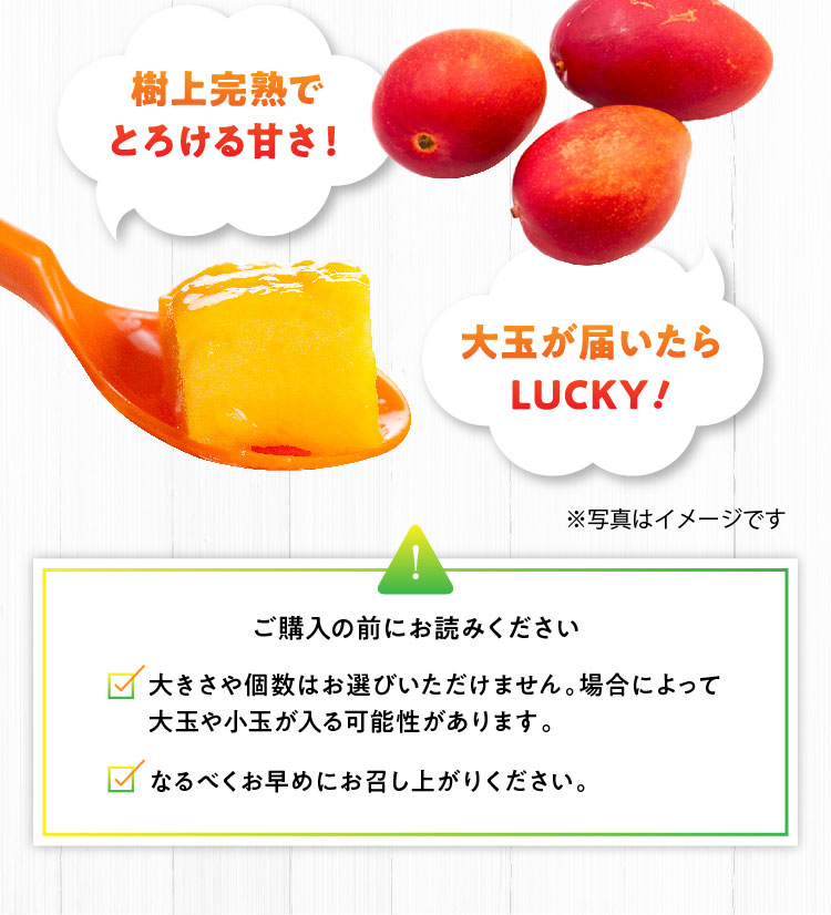 【バイヤー厳選】完熟！宮崎マンゴー（宮崎県産）