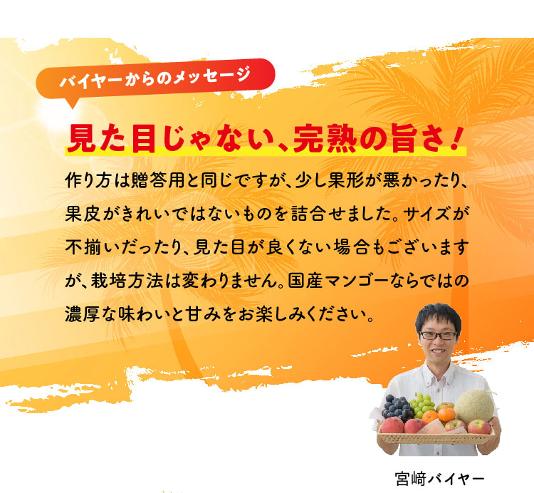 【バイヤー厳選】完熟！宮崎マンゴー（宮崎県産）