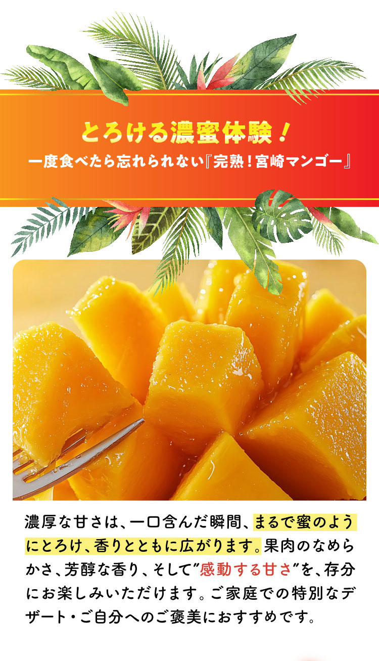 【バイヤー厳選】完熟！宮崎マンゴー（宮崎県産）