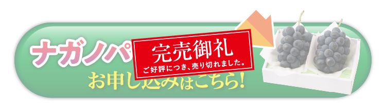 【産地直送】希少な高級黒ぶどうナガノパープル（長野県産）