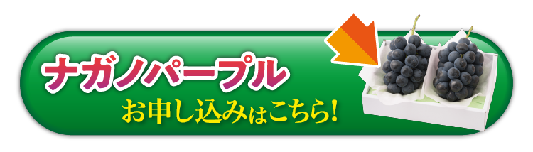 【産地直送】希少な高級黒ぶどうナガノパープル（長野県産）