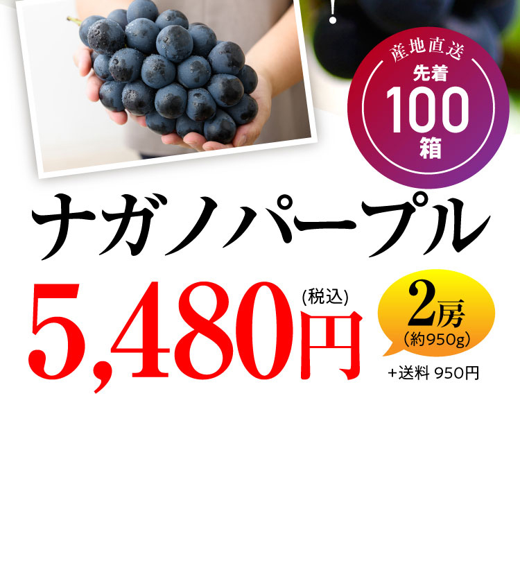 【産地直送】希少な高級黒ぶどう『ナガノパープル』（長野県産）