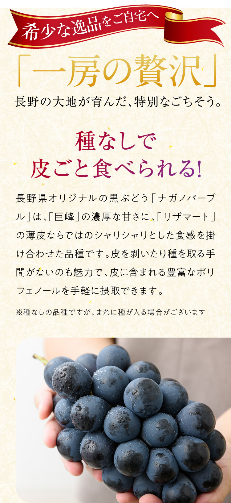 【産地直送】希少な高級黒ぶどう『ナガノパープル』（長野県産）