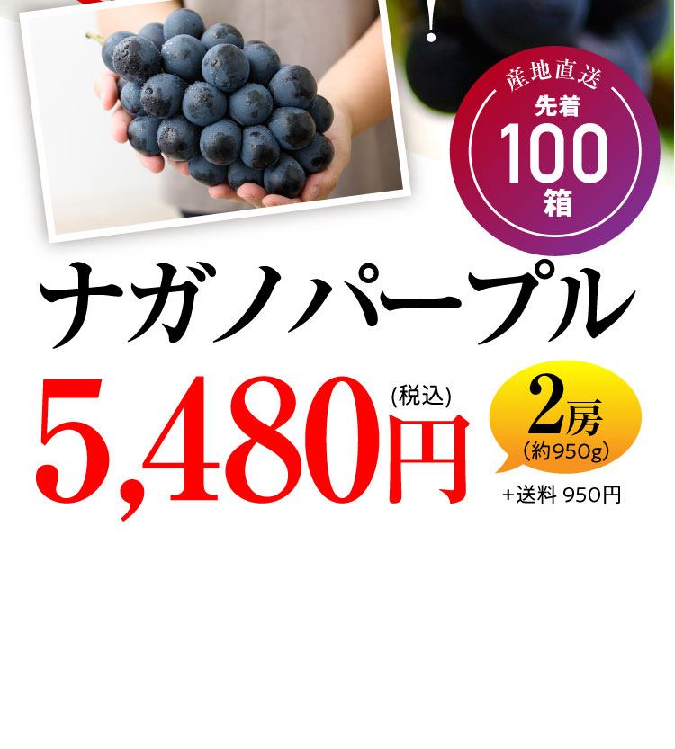【産地直送】希少な高級黒ぶどう『ナガノパープル』（長野県産）