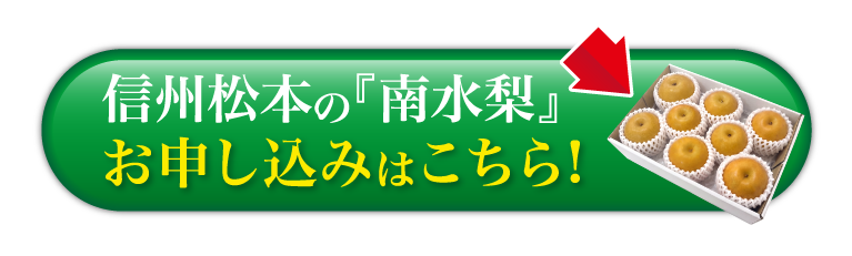 【バイヤー厳選】信州松本の『南水梨』（長野県産）