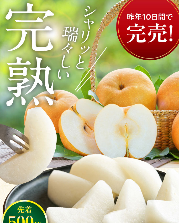 【バイヤー厳選】信州松本の『南水梨』（長野県産）