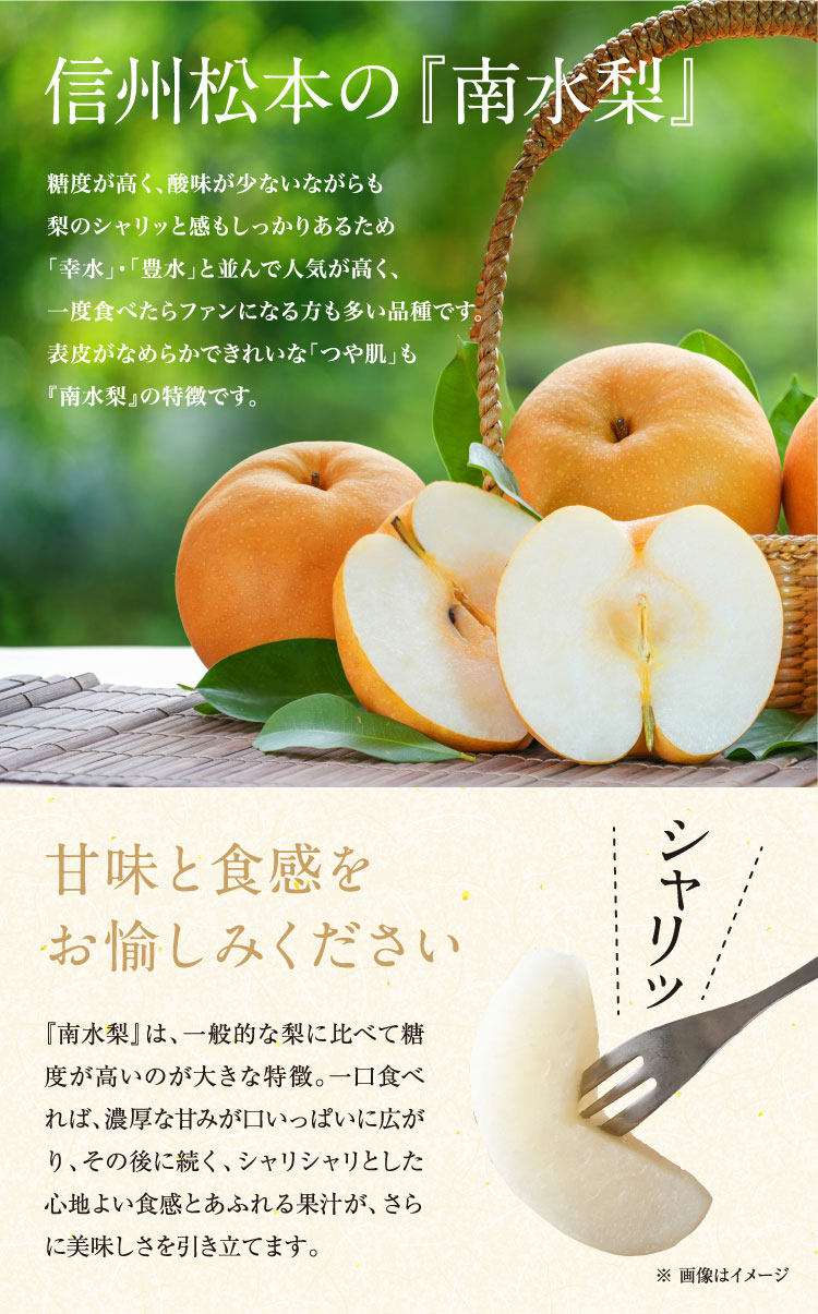 【バイヤー厳選】信州松本の『南水梨』（長野県産）