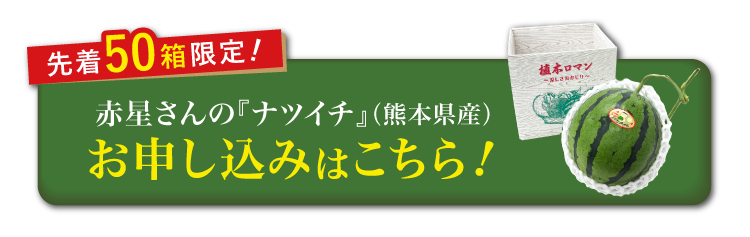 【産地直送】赤星さんのすいか『ナツイチ』（熊本県産）