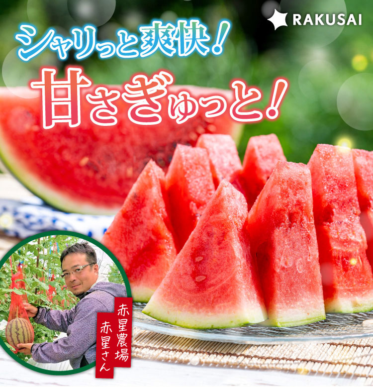 【産地直送】赤星さんのすいか『ナツイチ』（熊本県産）