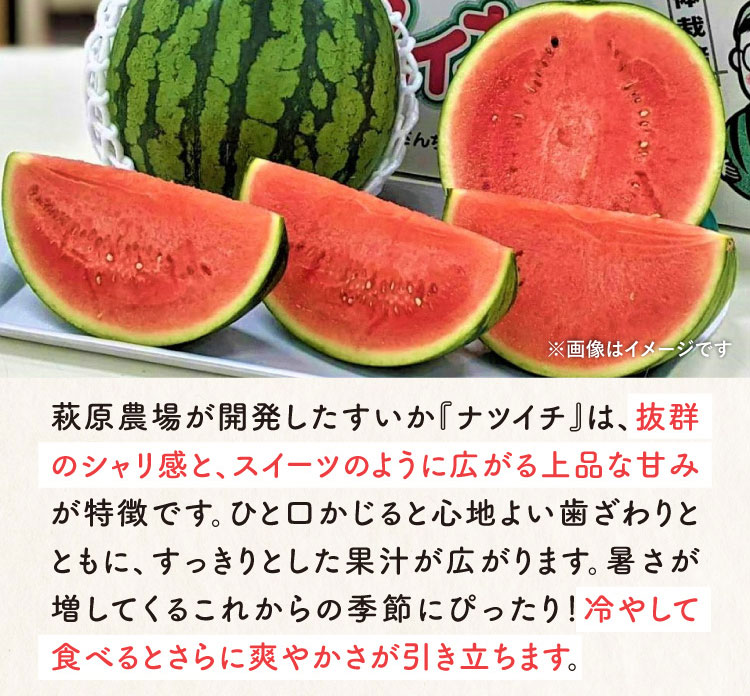 【産地直送】赤星さんのすいか『ナツイチ』（熊本県産）