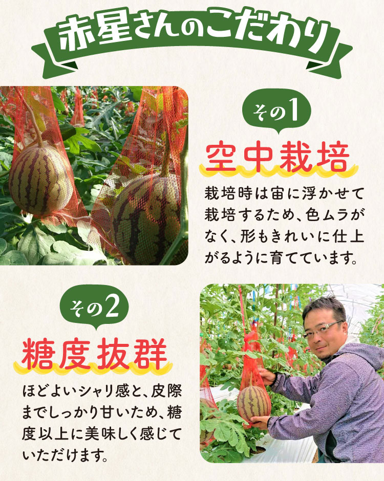 【産地直送】赤星さんのすいか『ナツイチ』（熊本県産）