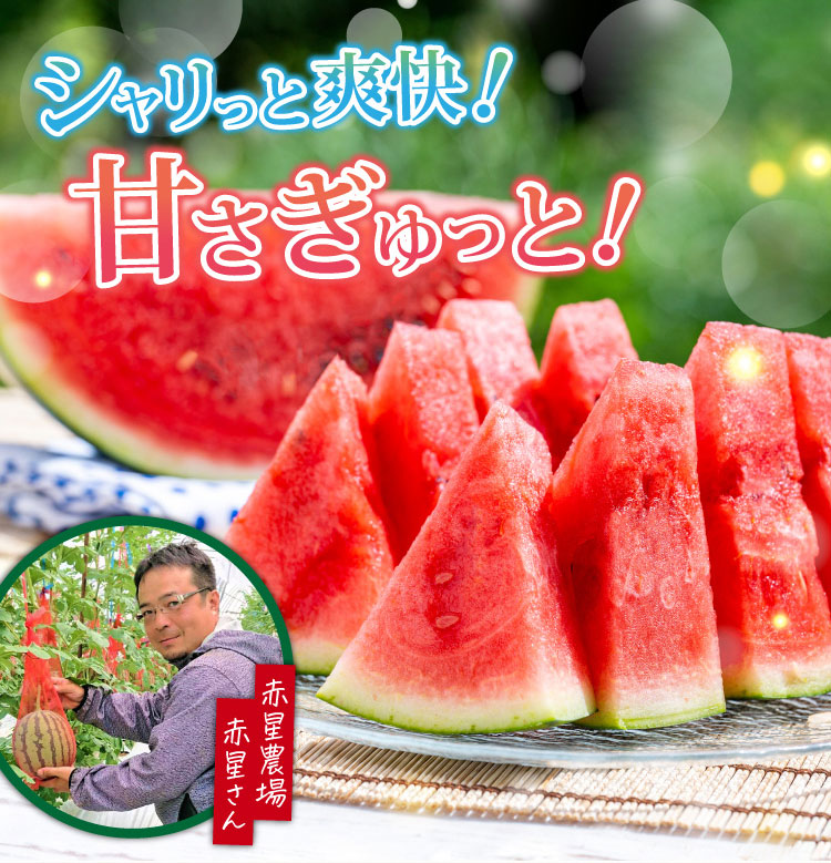 【産地直送】赤星さんのすいか『ナツイチ』（熊本県産）